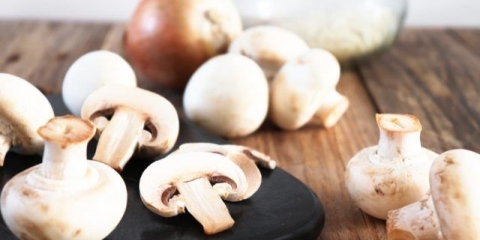 Dojenje šampinjona (gw): da li je moguće ili ne, pravila pripreme i upotrebe